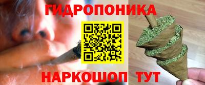 таблы Новозыбков